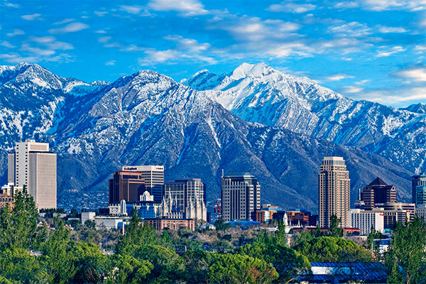 Top and Best Logo Design Agencies and Companies in West Valley City, Utah