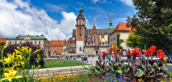Top or Best Influencer Brand Partnership Agencies and Companies in Poland