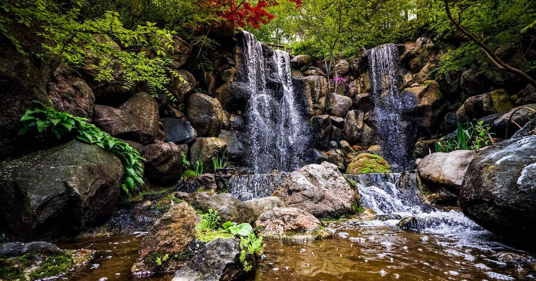 Top or Best Flyer Design Agencies and Companies in Rockford, Illinois