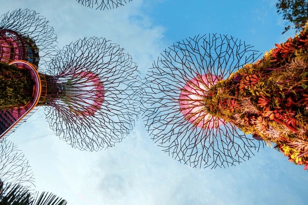 Top Portraits and Caricatures Agencies in Singapore