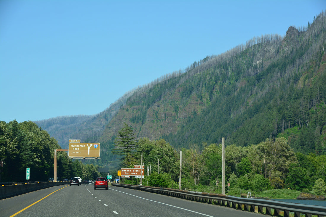 Top and Best YouTube Management Agencies and Companies in Eugene, Oregon
