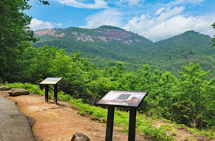 Top or Best Business Card Design Agencies and Companies in Greenville, South Carolina