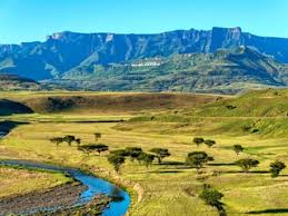Best X (Twitter) Management Companies in South Africa