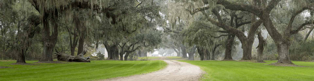 Top or Best Graphic Design Subscription Agencies and Companies in Rock Hill, South Carolina