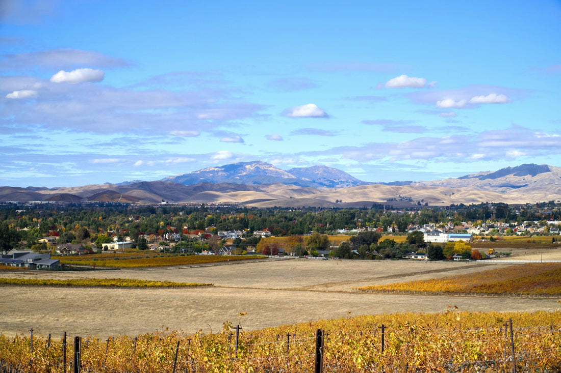 Top and Best LinkedIn Management Agencies and Companies in Hillsboro, Oregon