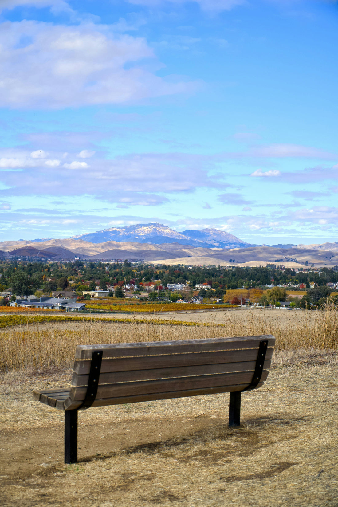 Top or Best Virtual Background Design Agencies and Companies in Miles City, Montana