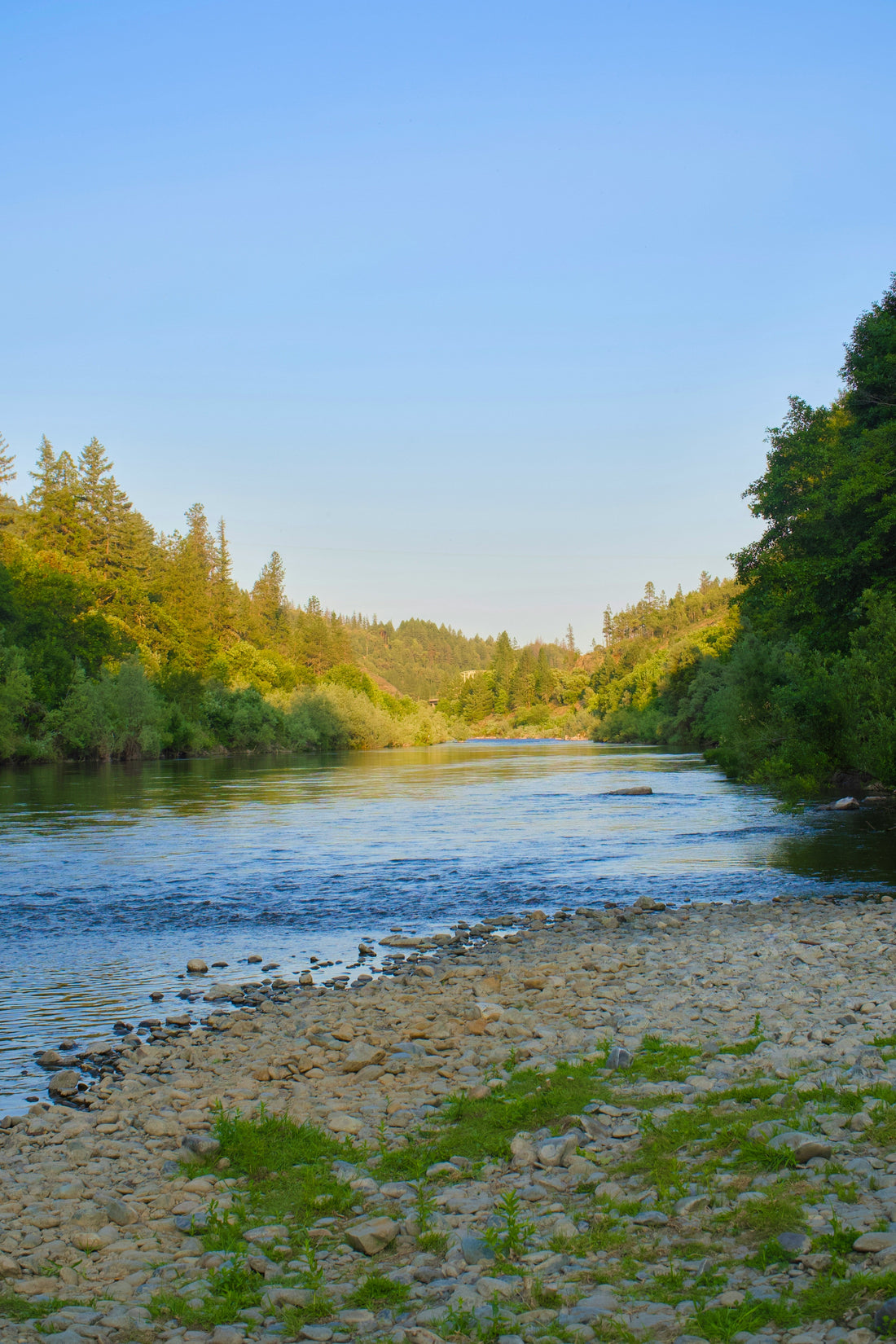 Top or Best Graphic Design Agencies and Companies in Medford, Oregon