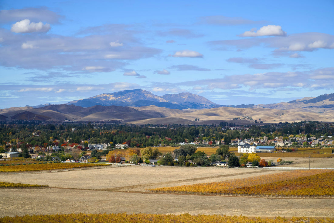 Top or Best AR Filters and Lenses Agencies and Companies in Miles City, Montana