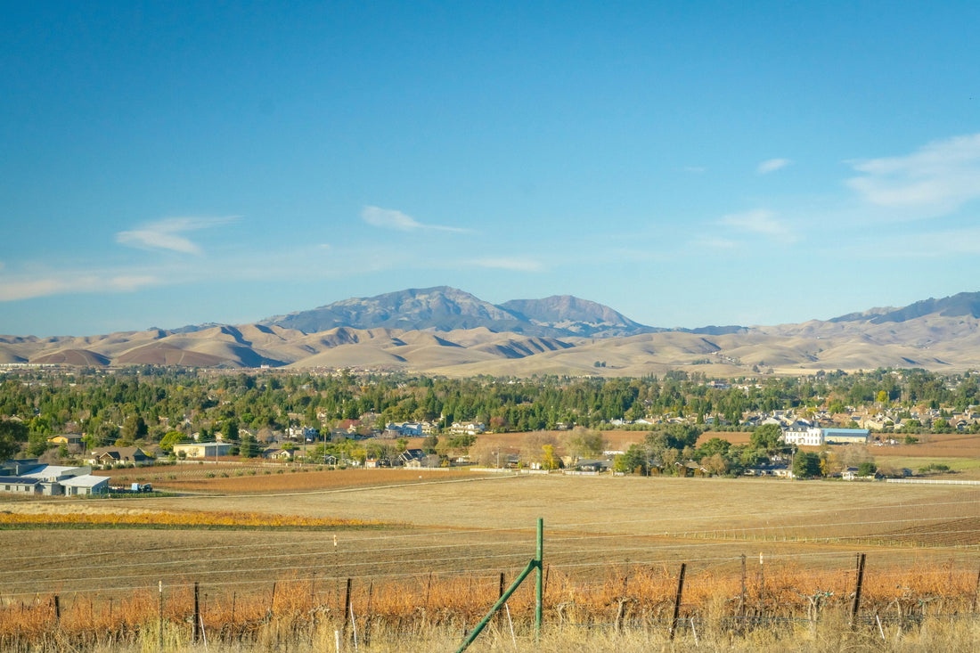 Top or Best Tattoo Design Agencies and Companies in Miles City, Montana