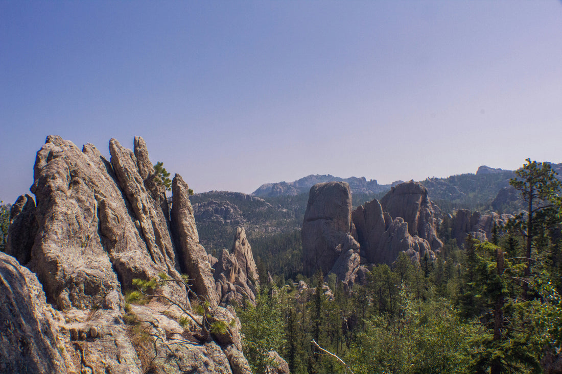 Top and Best NFT Art Agencies and Companies in Spearfish, South Dakota