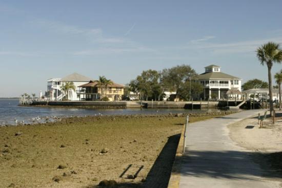 Top or Best Postcard Design Agencies and Companies in Spring Hill, Florida