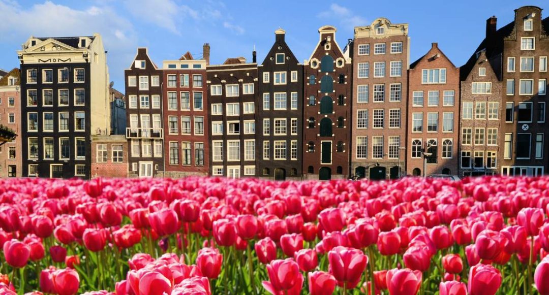 Top or Best Influencer Brand Partnership Agencies and Companies in the Netherlands