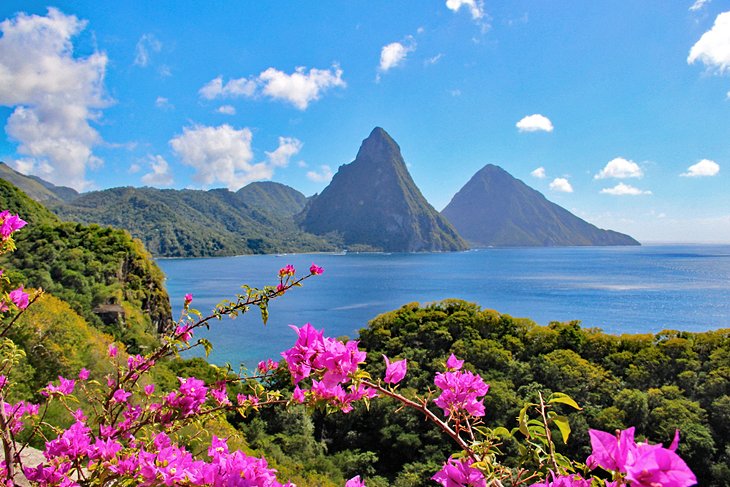 Best Instagram Management Companies in Saint Lucia