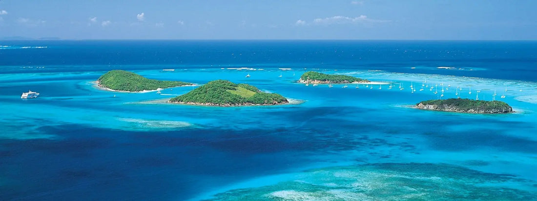 Top or Best Influencer Brand Partnership Agencies and Companies in St. Vincent & the Grenadines