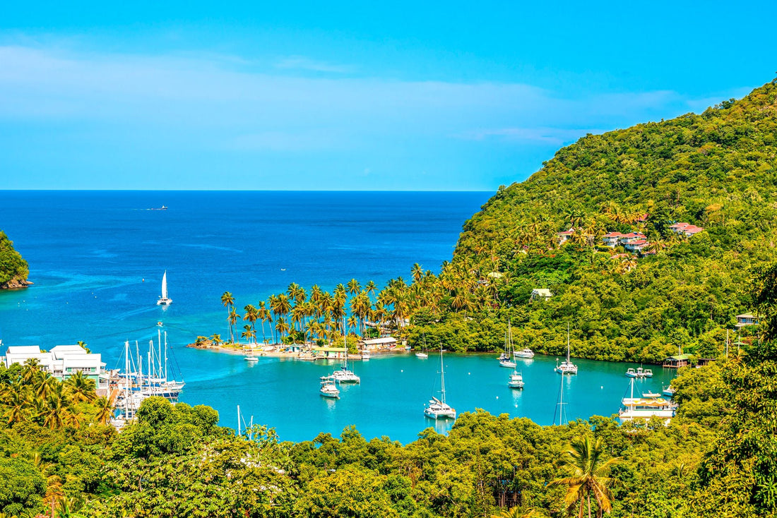 Best LinkedIn Management Companies in Saint Lucia