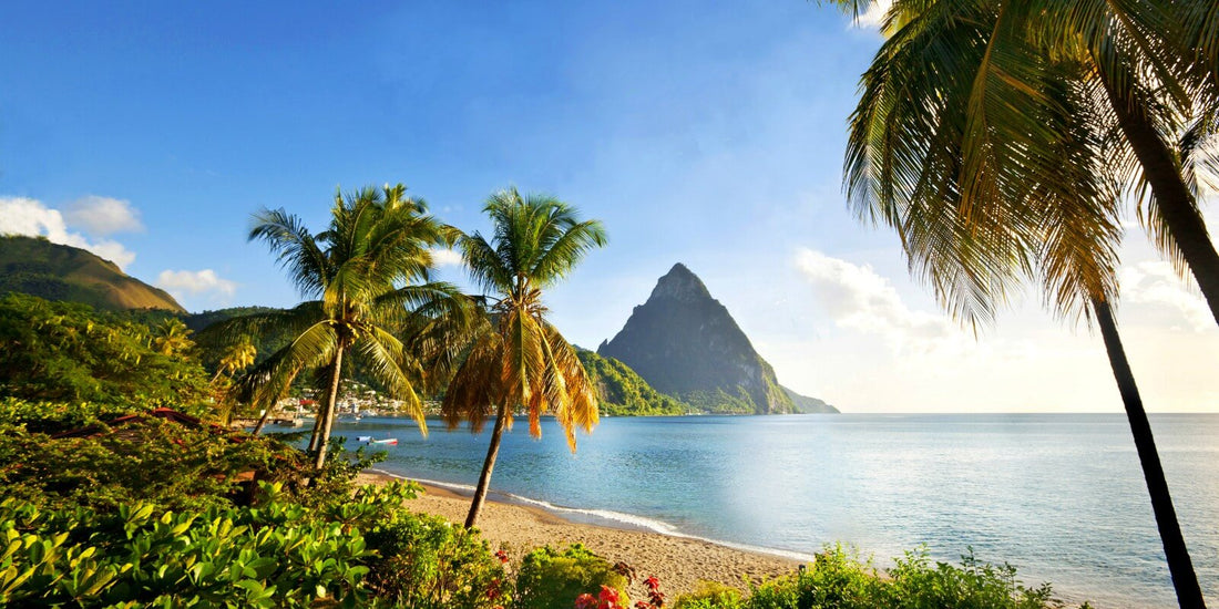 Best Facebook Management Companies in Saint Lucia