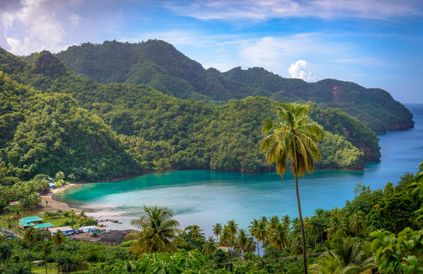 Best LinkedIn Management Companies in Saint Vincent and the Grenadines