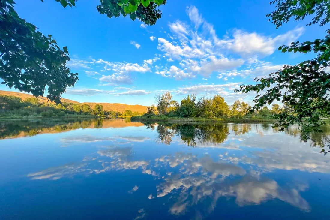 Best or Top Graphic Design Agencies and Companies in Star, Idaho