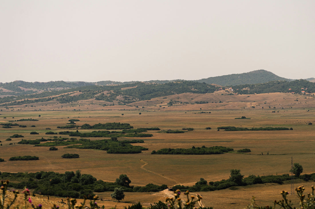 Top and Best Direct Mail Design Agencies and Companies in Box Elder, South Dakota