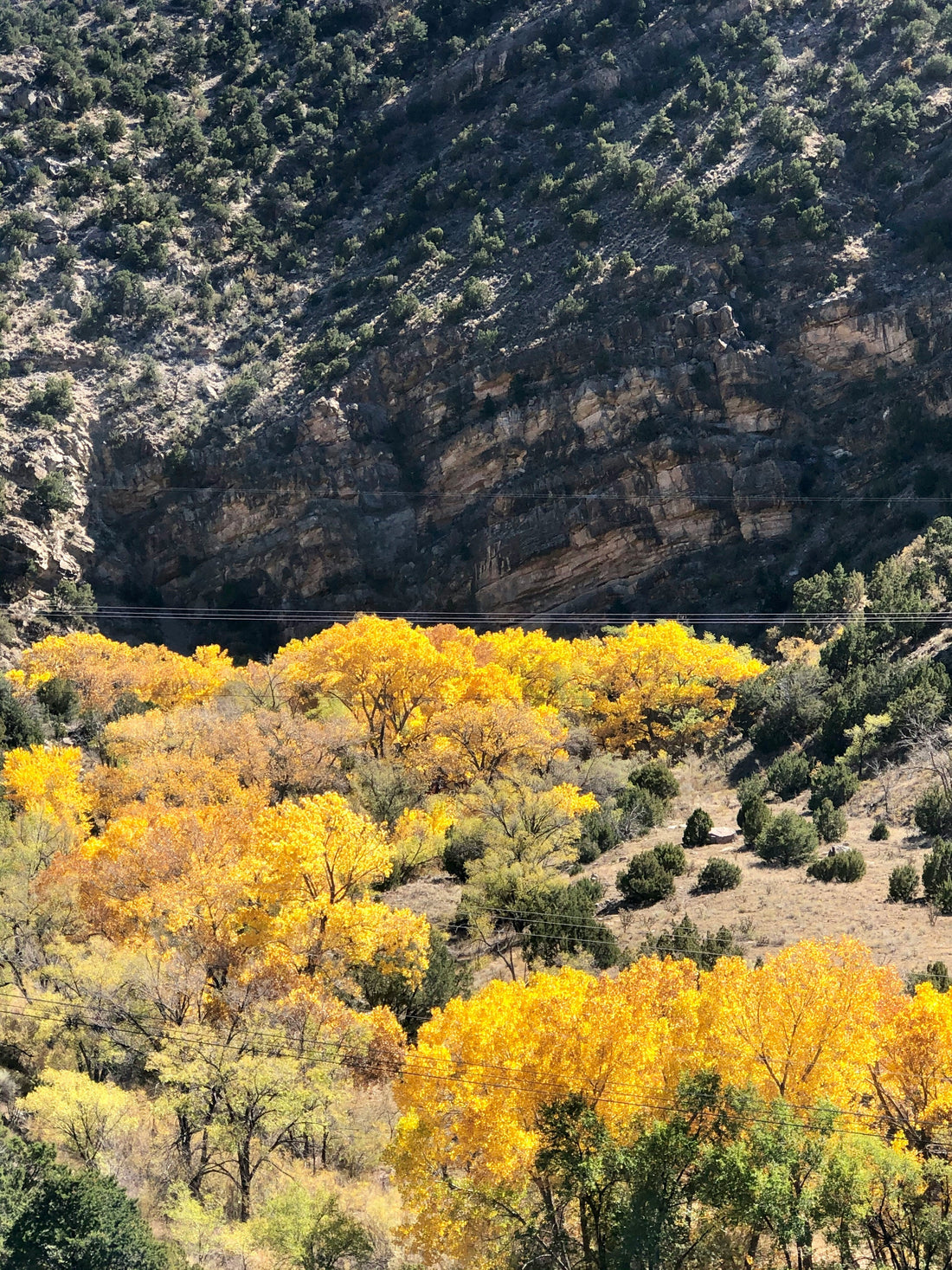 Top or Best Copywriting Agencies and Companies in Spring Valley, Nevada