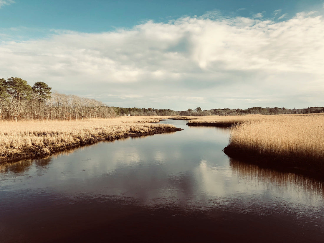 Top and Best Twitch Management Agencies and Companies in Suffolk, Virginia