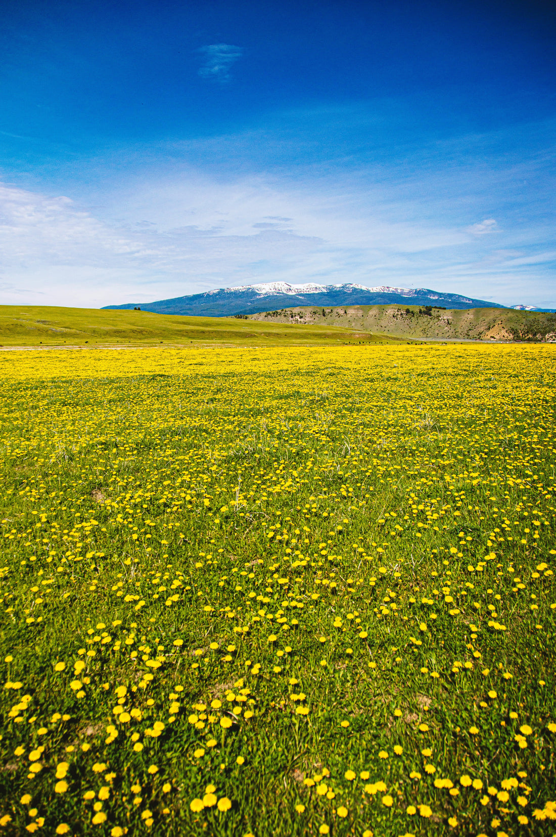 Top or Best Storyboard Agencies and Companies in Spring Valley, Nevada