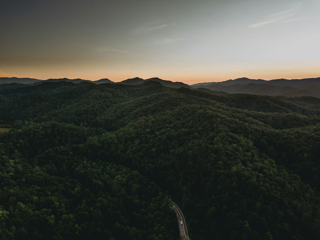 Top and Best LinkedIn Management Agencies and Companies in Burlington, North Carolina