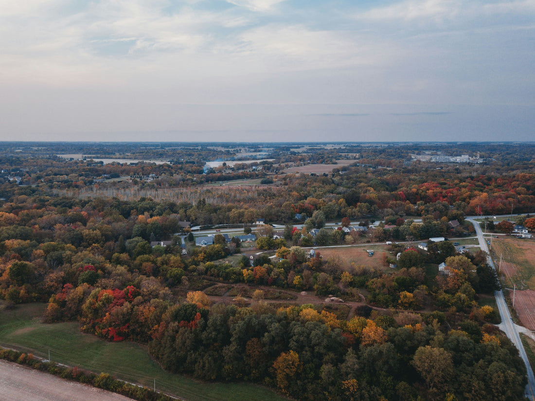 Top or Best X (Twitter) Management Agencies and Companies in Lansing, Michigan