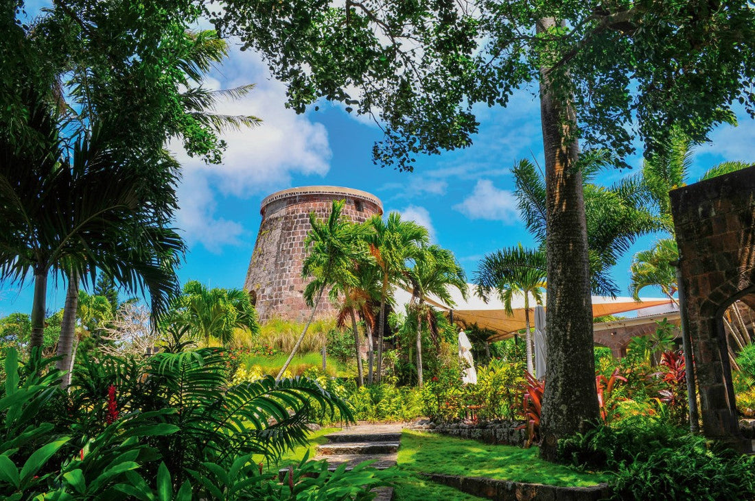 Top Website Design Agencies in Saint Kitts and Nevis