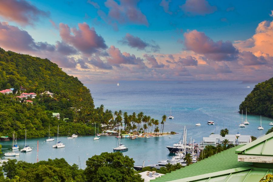 Top Logo Design Agencies in Saint Lucia