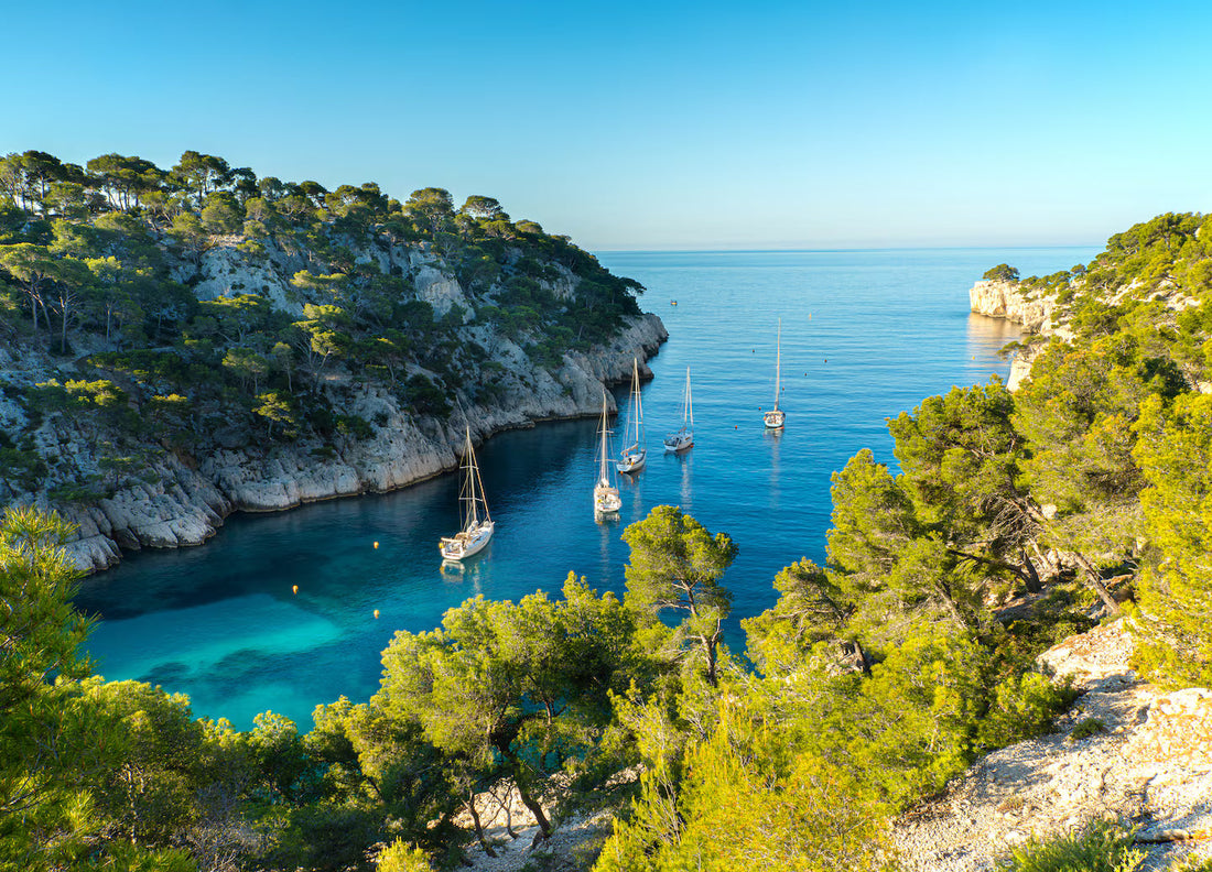 Top or Best T-Shirt & Merchandise Design Agencies and Companies in Marseille, France