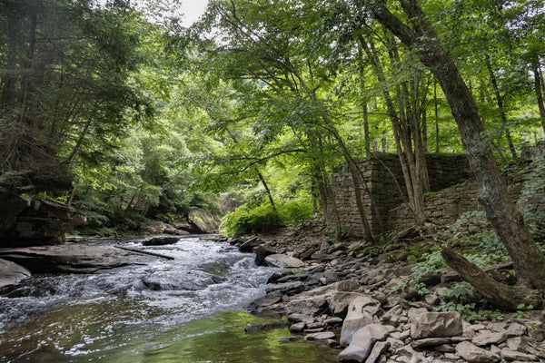 Top or Best Banner Ad Design Agencies and Companies in Beckley, West Virginia