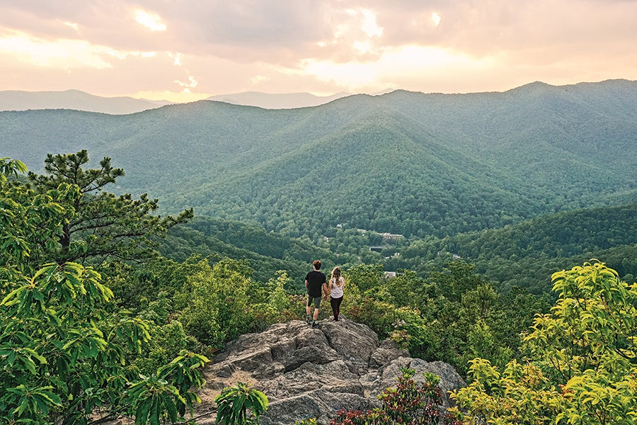 Top or Best Twitch Management Agencies and Companies in Asheville, North Carolina