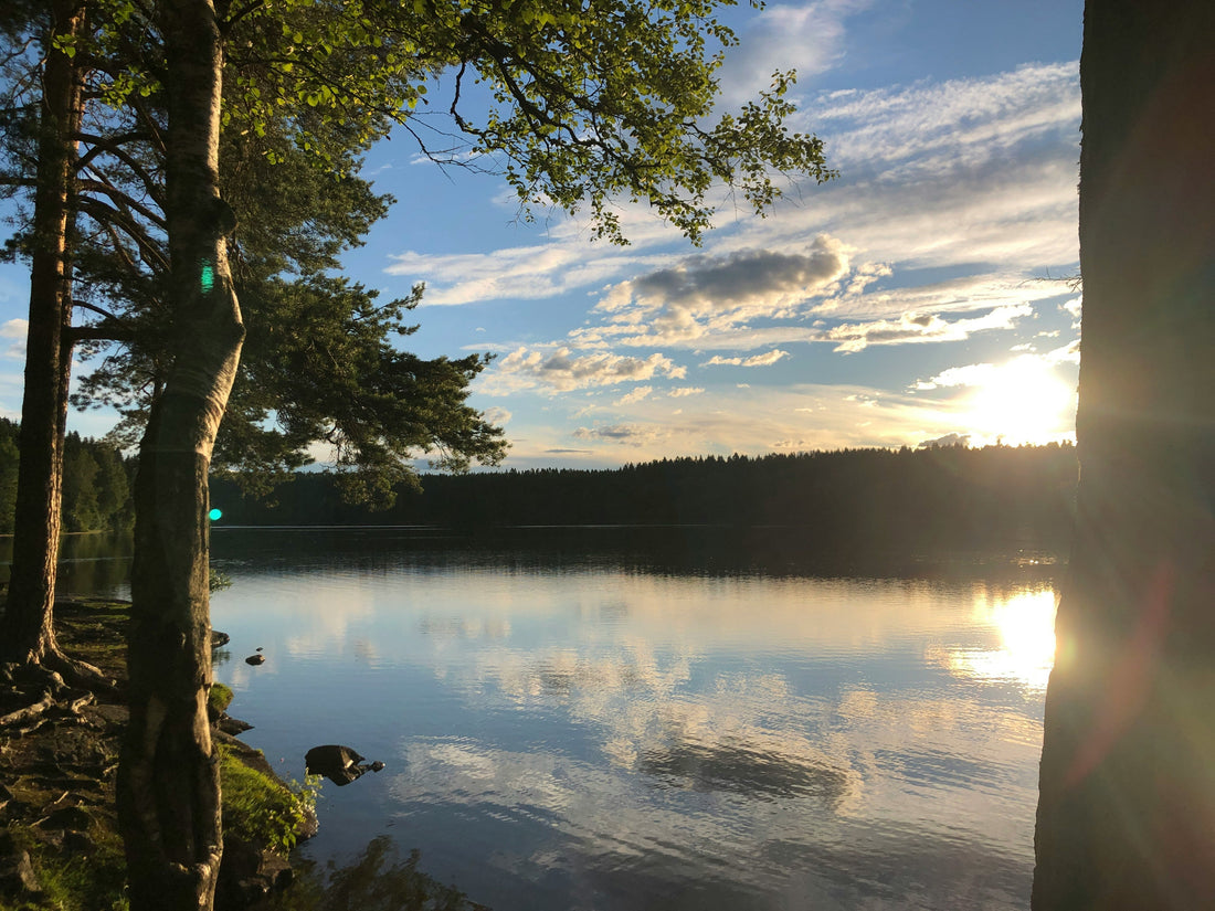 Top or Best LinkedIn Management Agencies and Companies in Lafayette, Louisiana