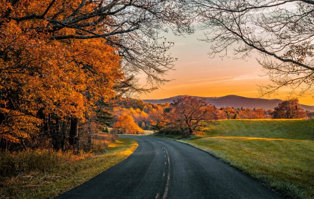 Top or Best Instagram Management Agencies and Companies in Bluefield, West Virginia