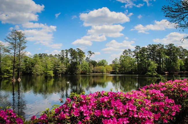 Top or Best Mural Design Agencies and Companies in Sumter, South Carolina