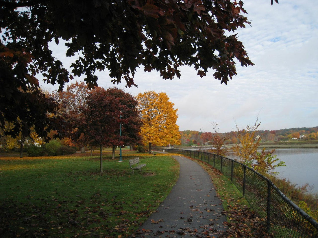 Top or Best Postcard Design Agencies and Companies in Exeter, New Hampshire