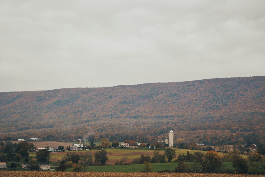 Top and Best Menu Design Agencies and Companies in Old Bridge, New Jersey