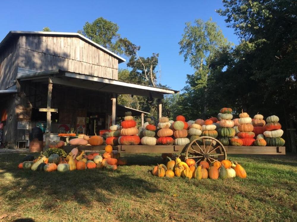 Best or Top Cartoons & Comics Agencies and Companies in Hopkinsville, Kentucky