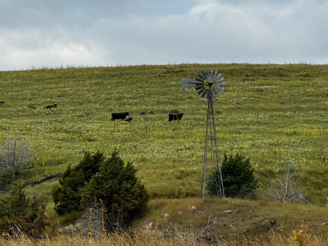 Top or Best Video Editing Agencies and Companies in Lexington, Nebraska