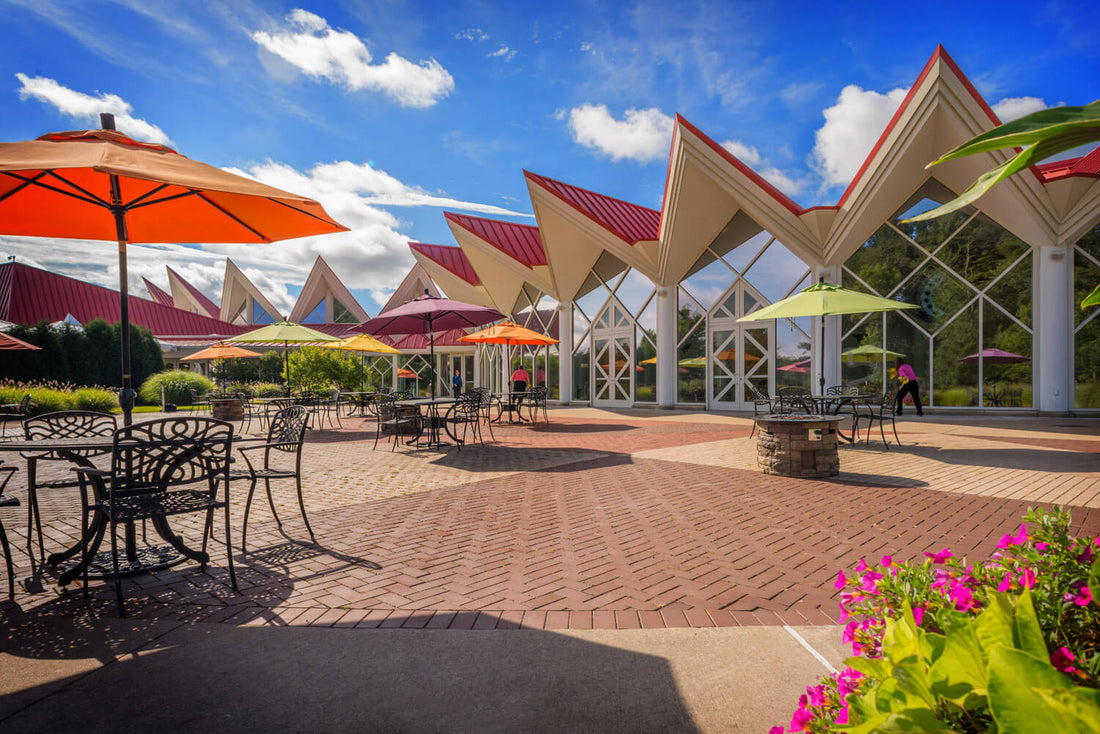 Top or Best Social Media Design Agencies and Companies in Beckley, West Virginia