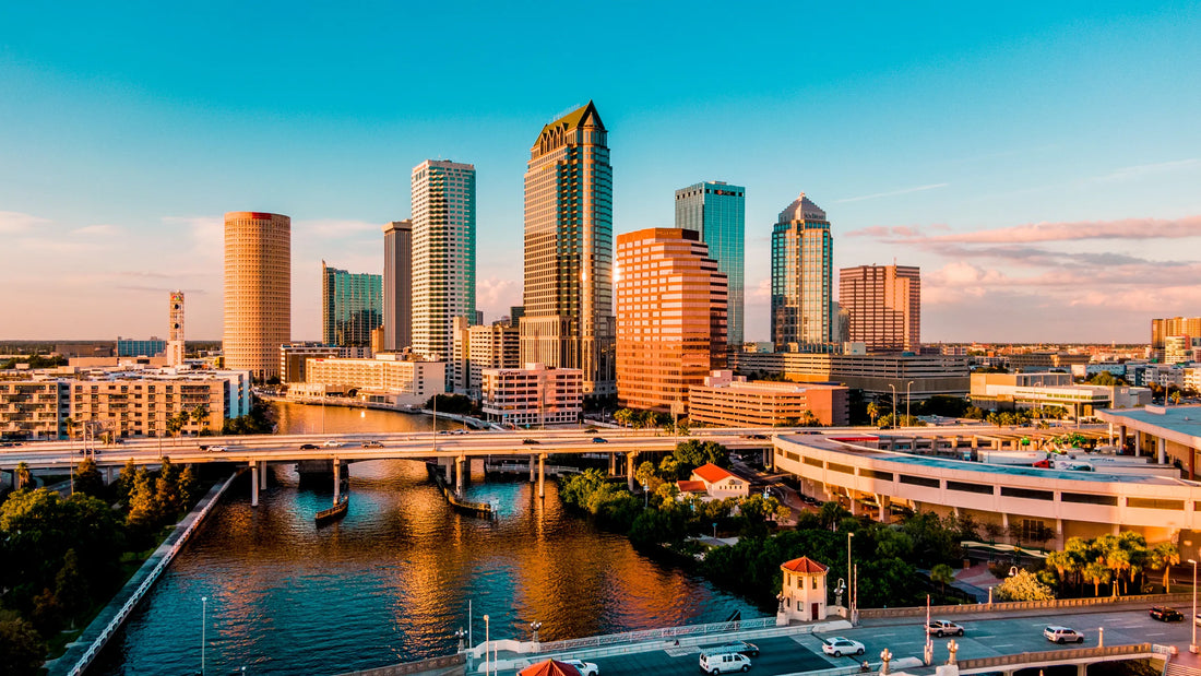 Top or Best Social Media Design Agencies and Companies in Tampa, Florida