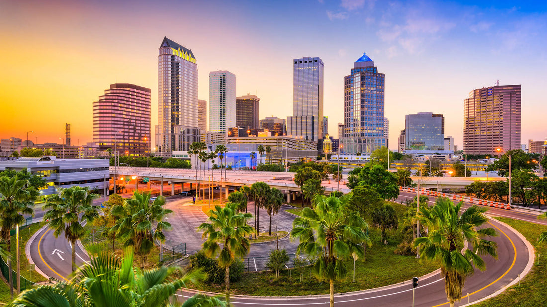 Top or Best Logo Design Agencies and Companies in Tampa, Florida