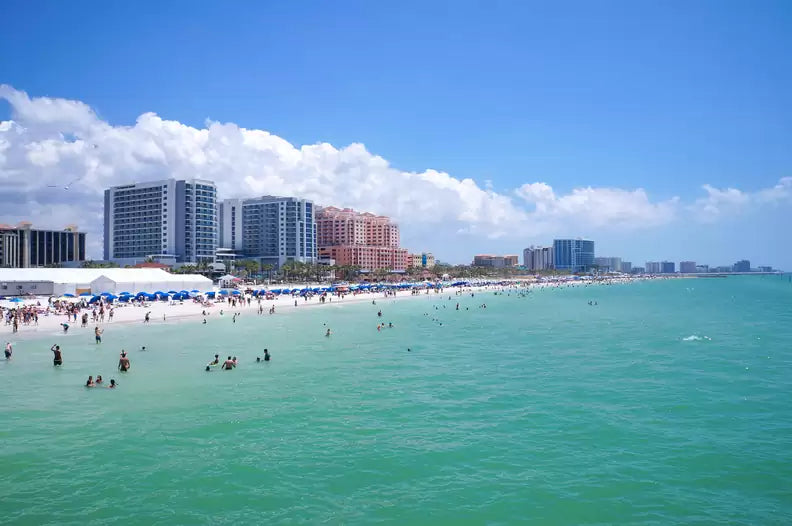 Top or Best Mural Design Agencies and Companies in Tampa, Florida