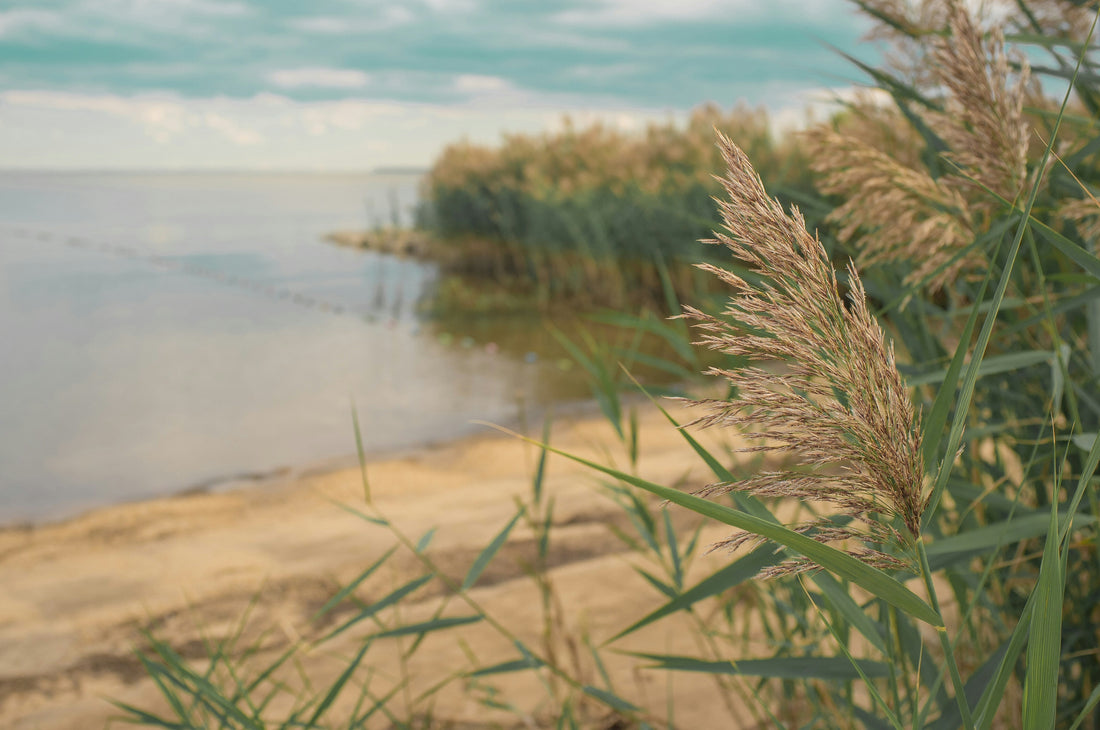 Top or Best Catalog Design Agencies and Companies in Frederick, Maryland