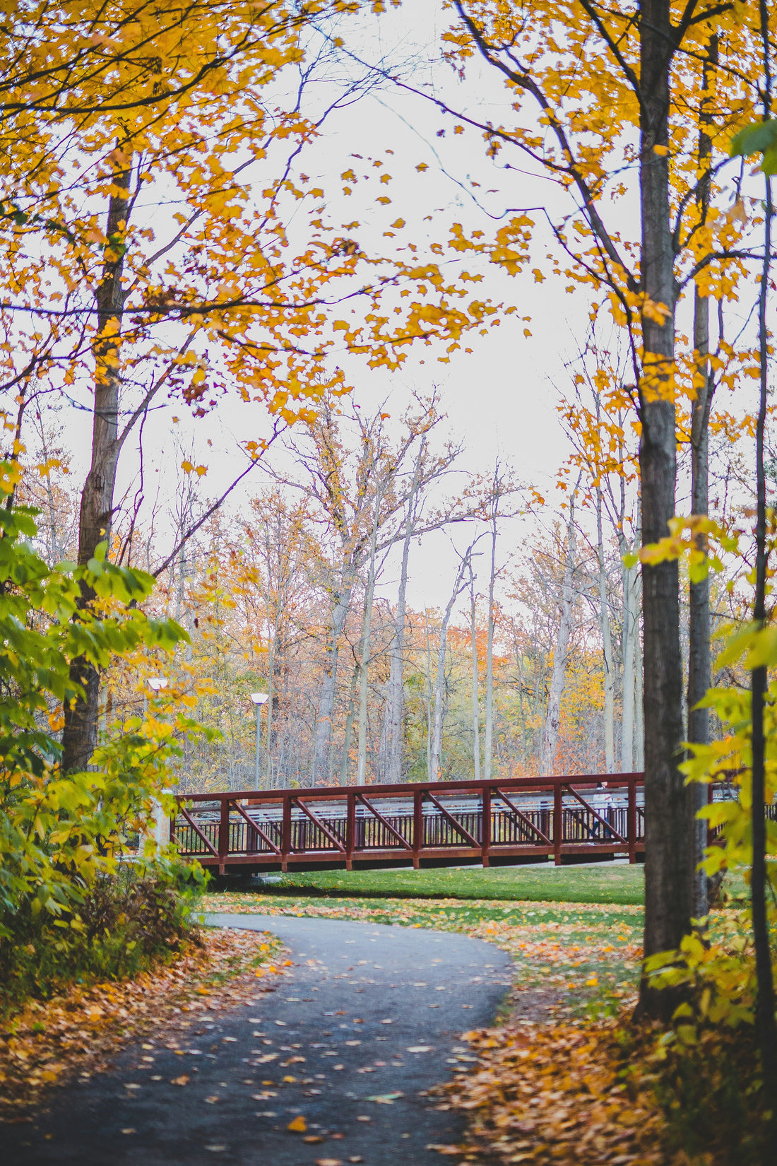 Top or Best Poster Design Agencies and Companies in Sterling Heights, Michigan