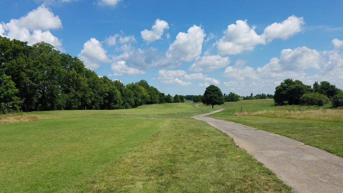 Top or Best Flyer Design Agencies and Companies in Nicholasville, Kentucky