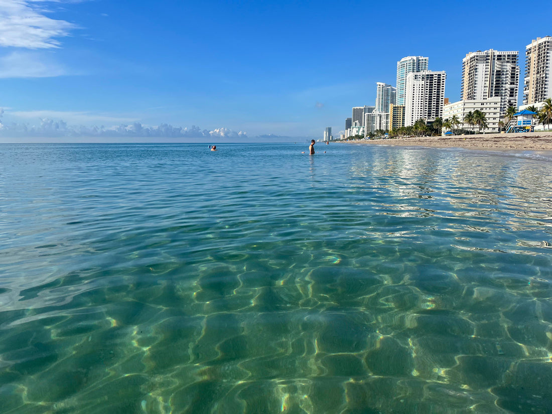 Top or Best Tattoo Design Agencies and Companies in Miami Beach, Florida