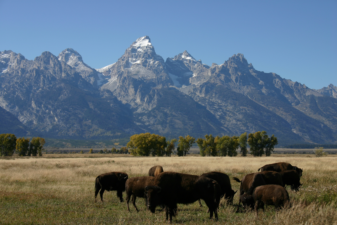 Top or Best Menu Design Agencies and Companies in Riverton, Wyoming