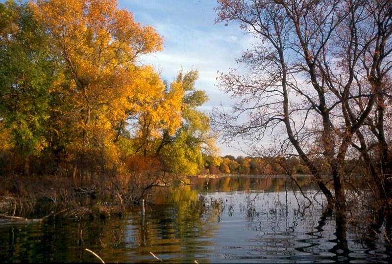 Top or Best Twitch Management Agencies and Companies in Devils Lake, North Dakota